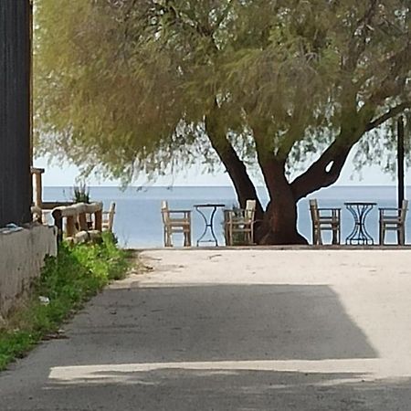 Ψάθα Παραλία Villa Eksteriør bilde
